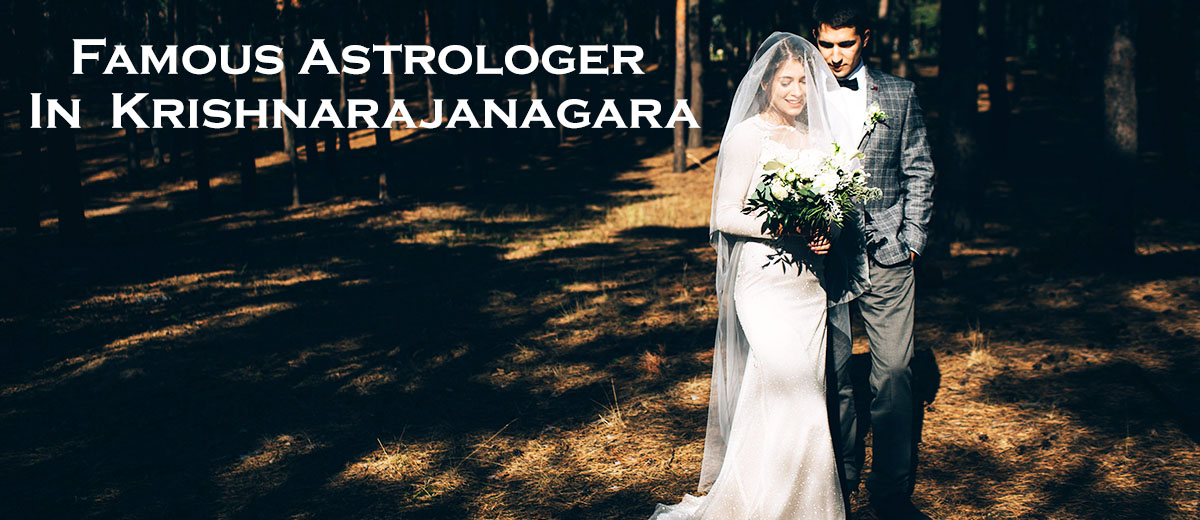 Famous Astrologer in Krishnarajanagara