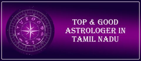 best astrologer in tamilnadu online
