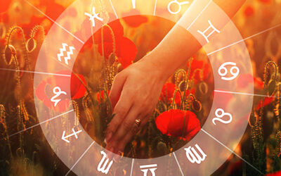 Vashikaran Astrologer in Andaman Nicobar